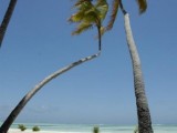 Ocean Paradise Resort*****