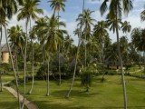 Ocean Paradise Resort*****