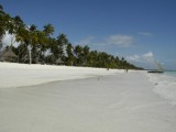 Ocean Paradise Resort*****