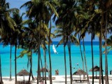 Diamonds Dream of Zanzibar*****