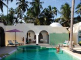 Diamonds Dream of Zanzibar*****