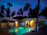 Diamonds Dream of Zanzibar*****